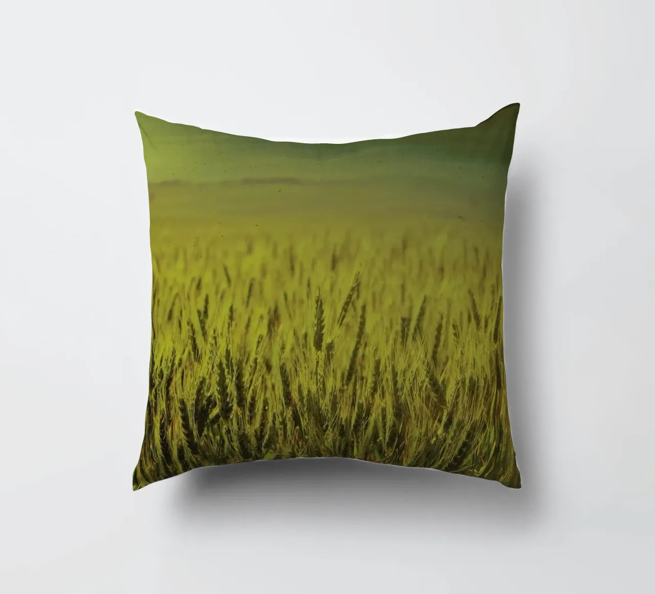 Wheat in Concordia cuscino da Emma Zoe Brew