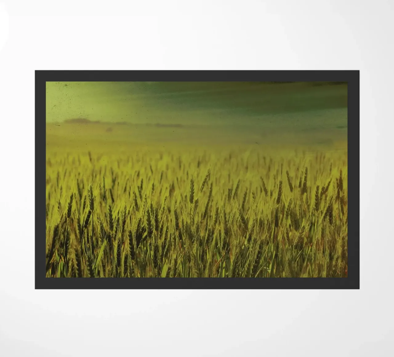 Wheat in Concordia zerbino da Emma Zoe Brew