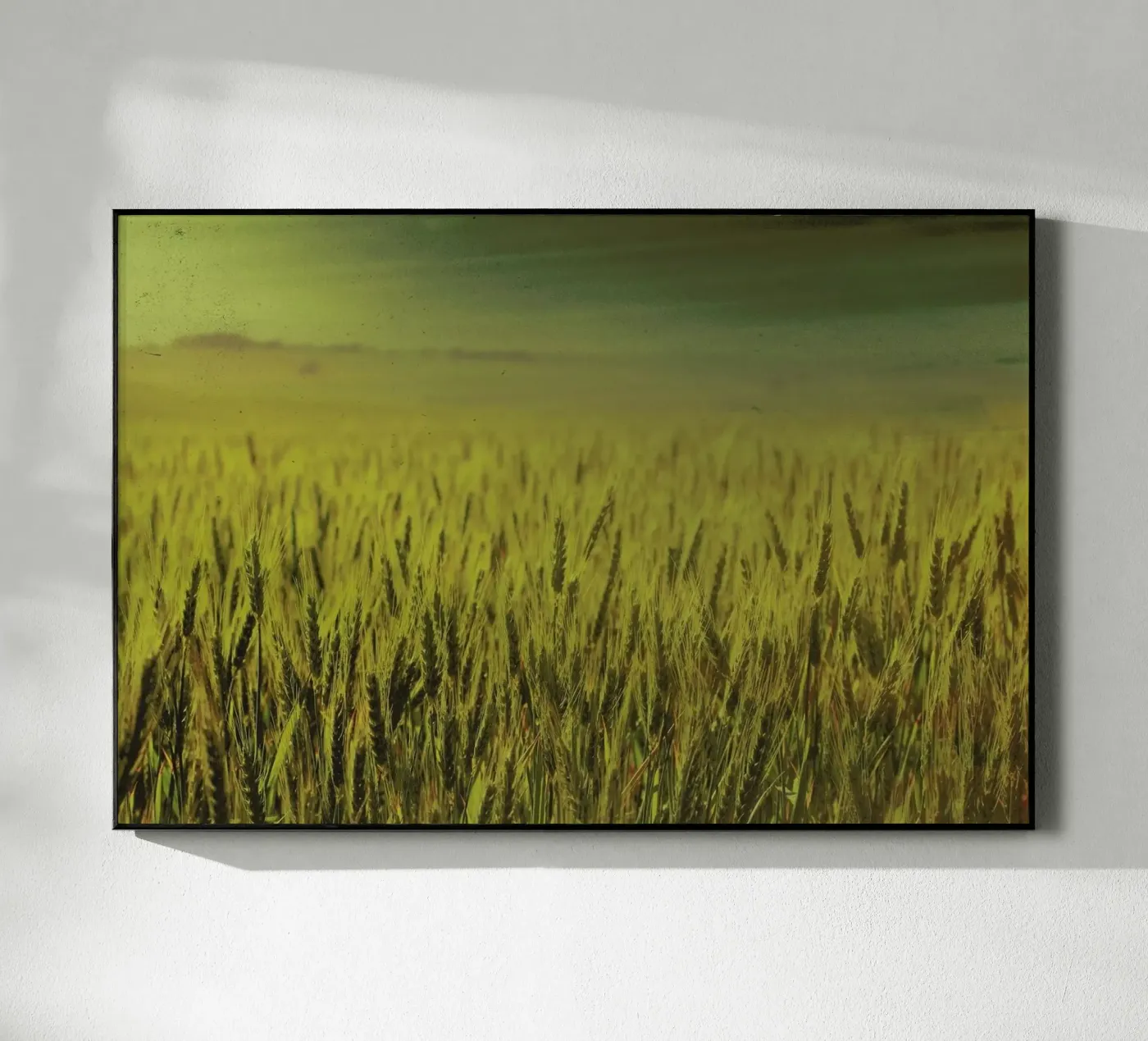 Wheat in Concordia plexiglass da Emma Zoe Brew