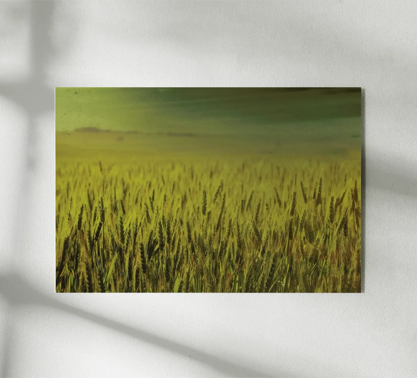 Wheat in Concordia plexiglass da Emma Zoe Brew