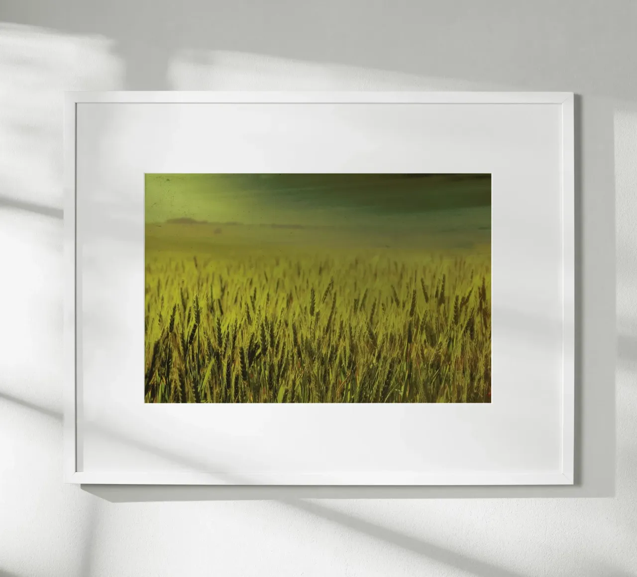 Wheat in Concordia carta hahnemühle da Emma Zoe Brew