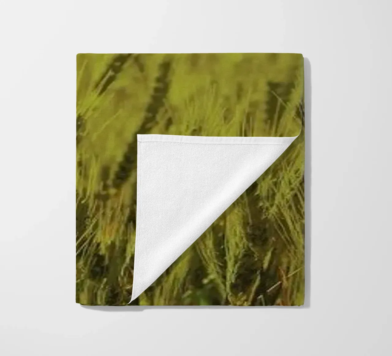 Wheat in Concordia telo mare da Emma Zoe Brew