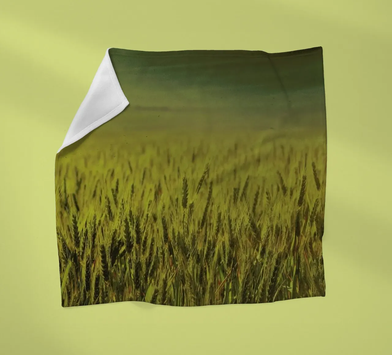 Wheat in Concordia coperta in pile da Emma Zoe Brew