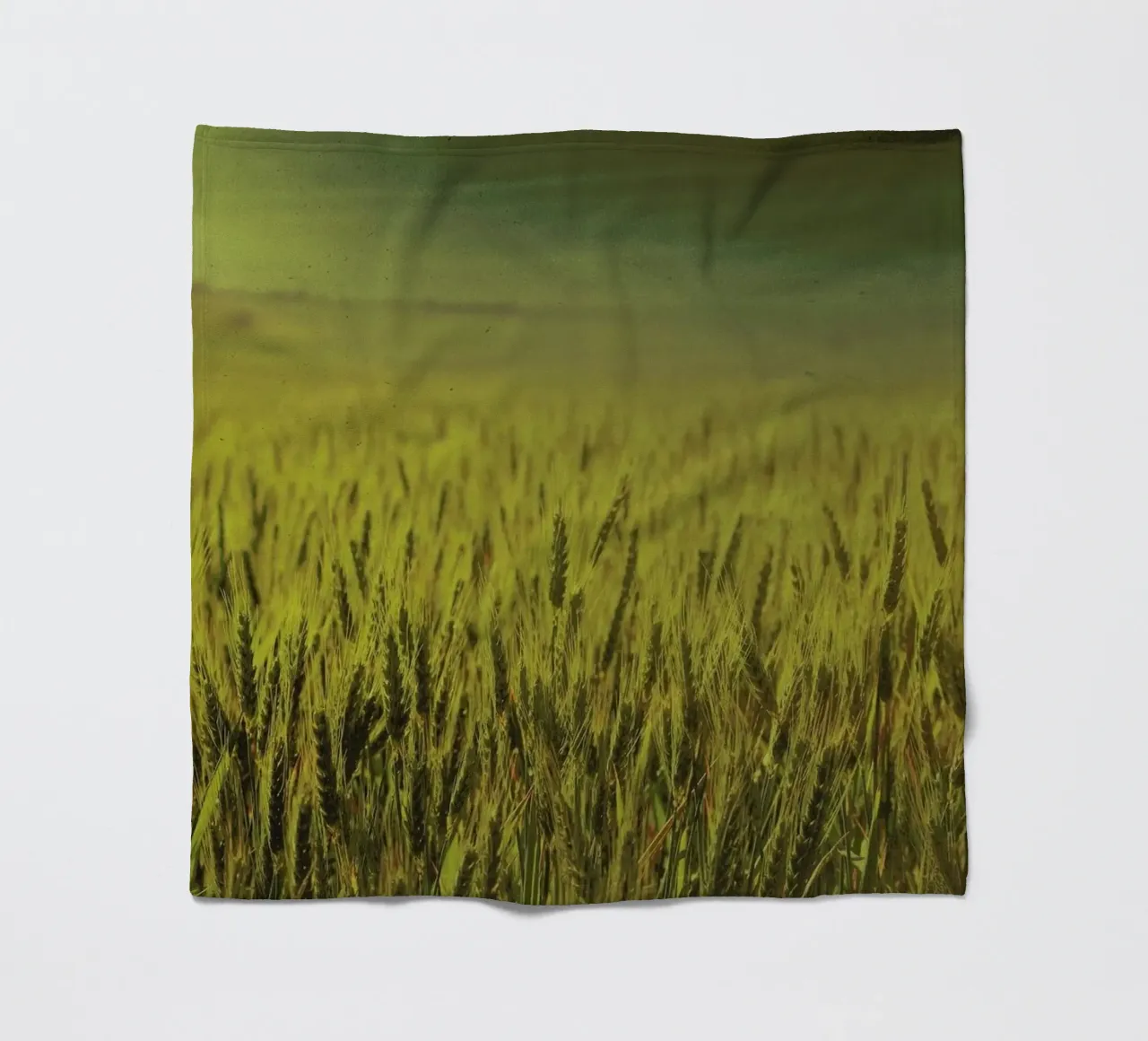 Wheat in Concordia coperta in pile da Emma Zoe Brew