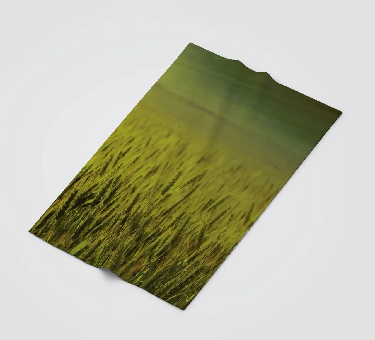 Wheat in Concordia coperta in pile da Emma Zoe Brew