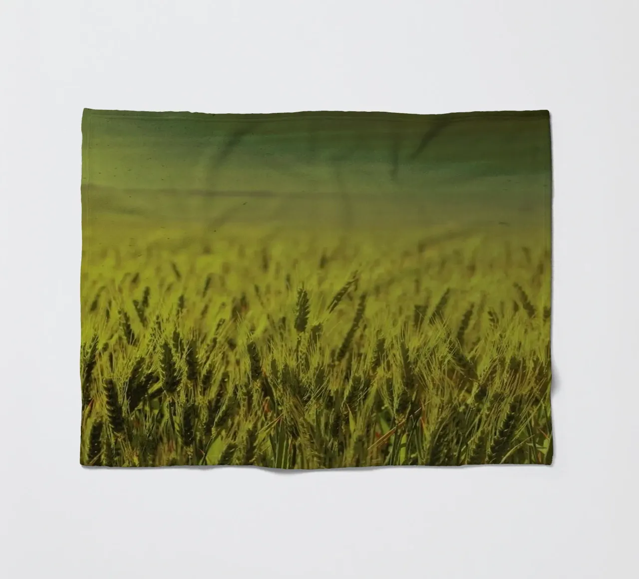 Wheat in Concordia coperta in pile da Emma Zoe Brew
