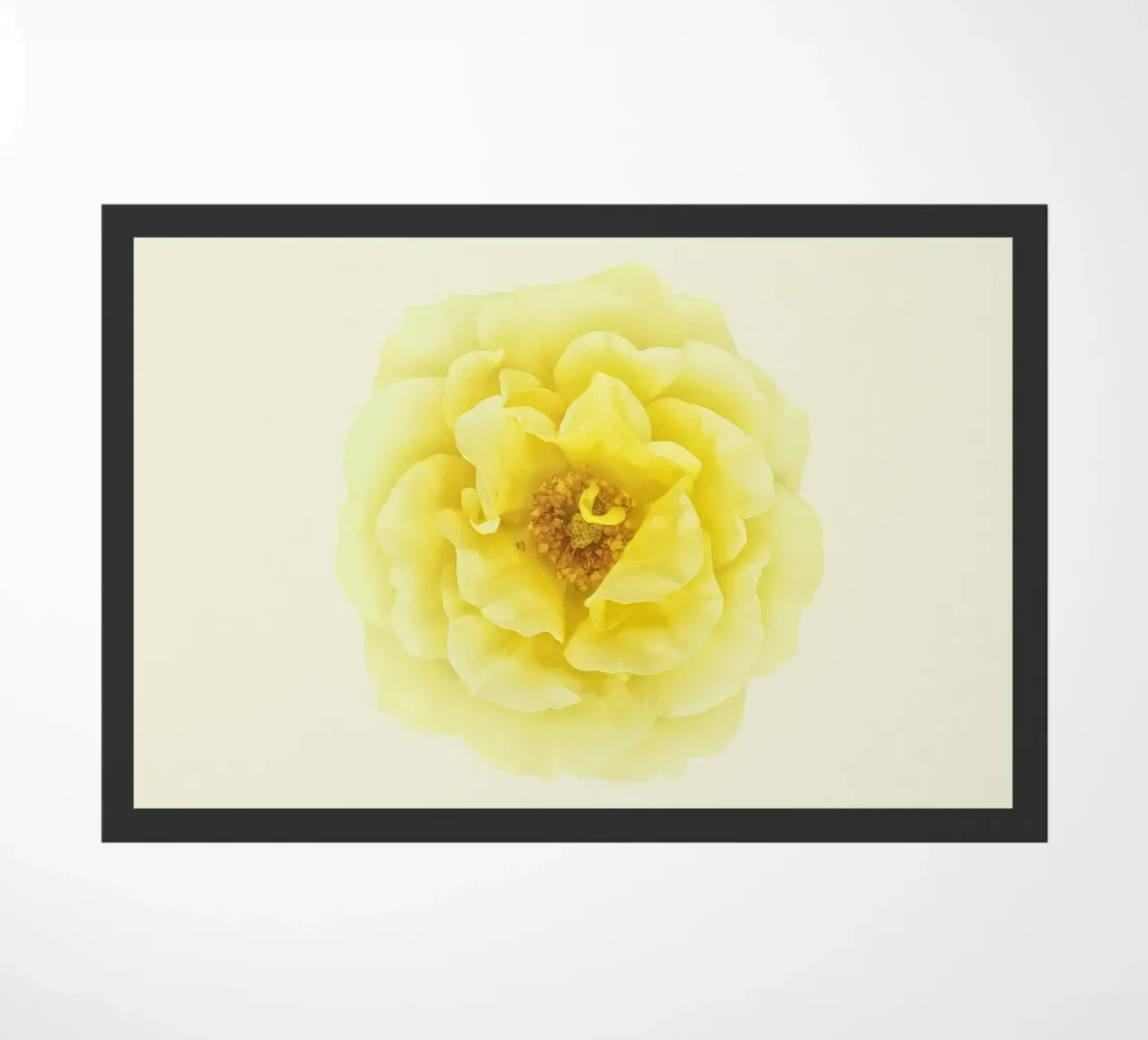 Une floraison d'une douce élégance : La rose jaune paillasson de Curious Collections by Marielle Leenders