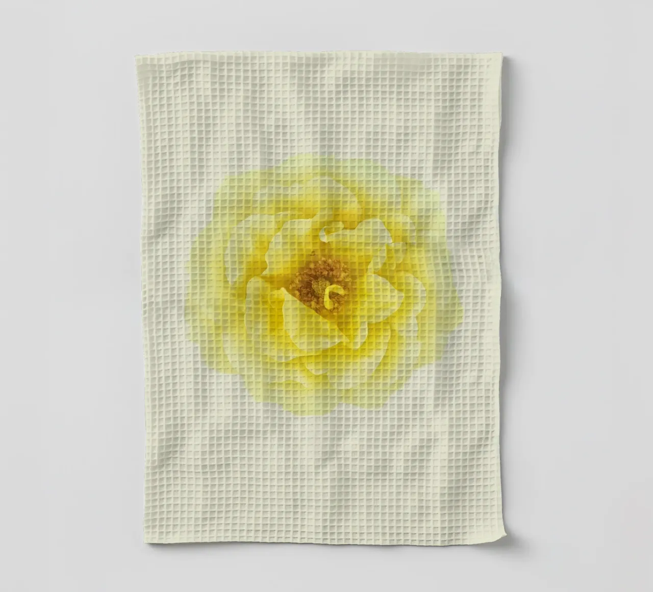 Une floraison d'une douce élégance : La rose jaune torchon de Curious Collections by Marielle Leenders