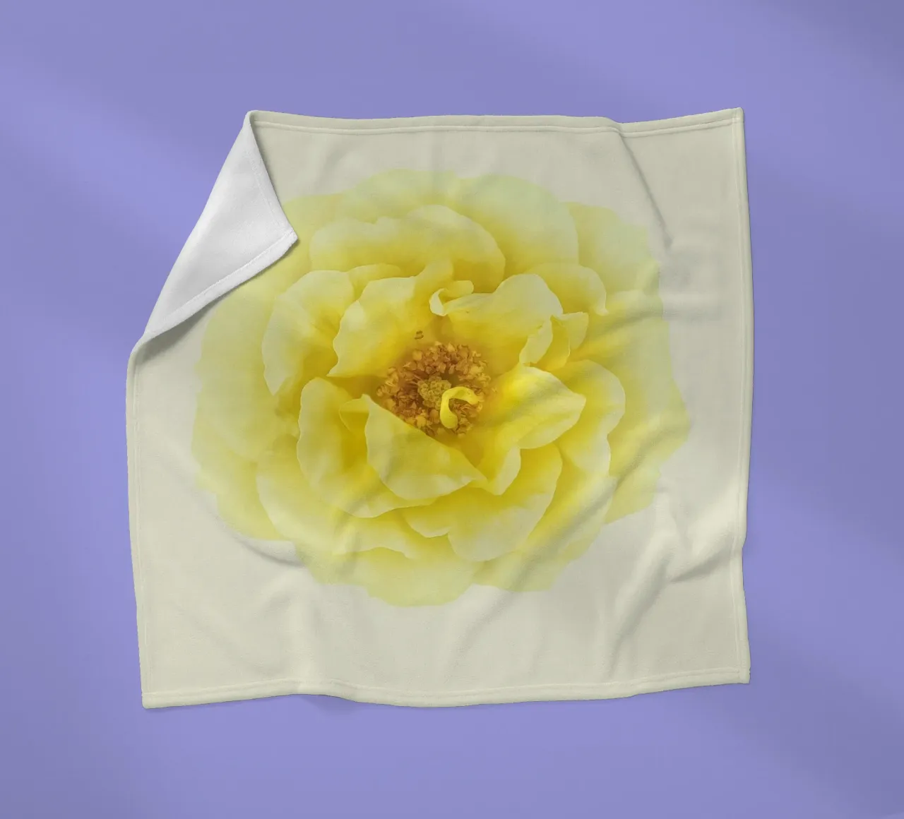 Une floraison d'une douce élégance : La rose jaune plaid polaire de Curious Collections by Marielle Leenders