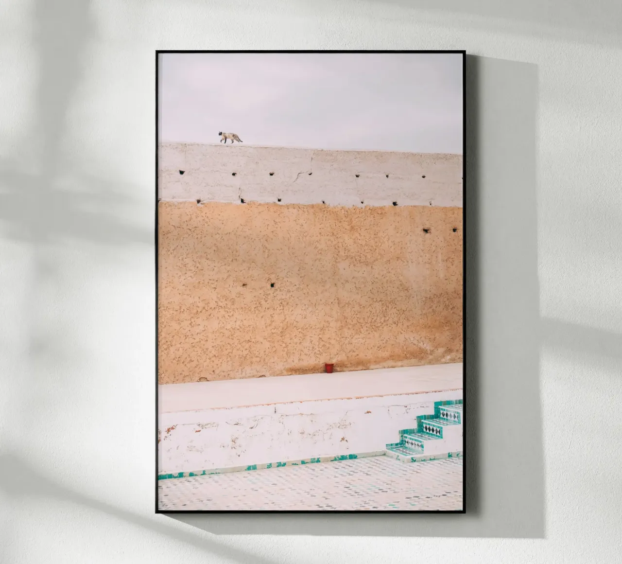 Cat in Morocco plexiglass da patiphotography