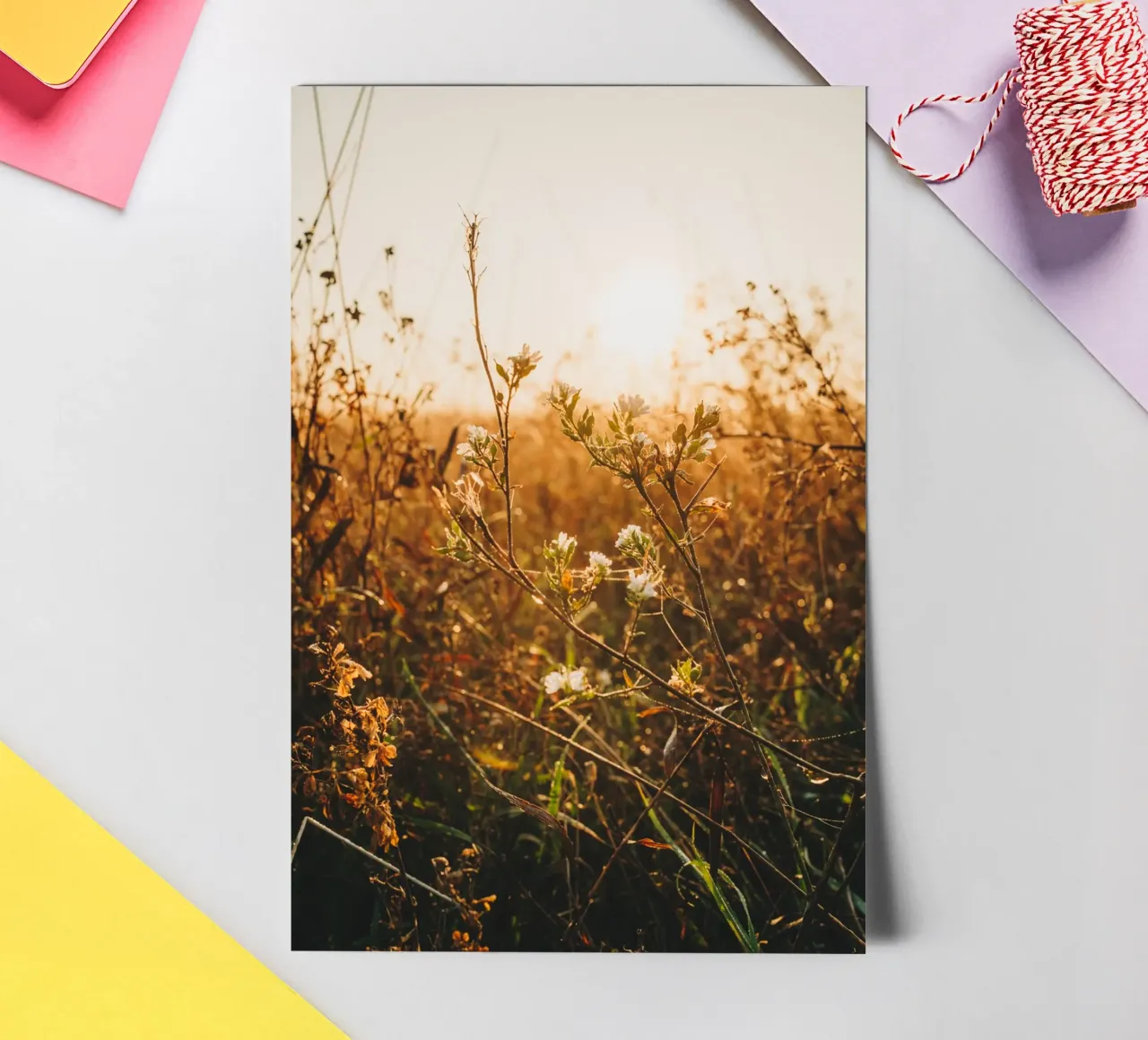 Morning mood - grasses & plants at sunrise sticker sheet by Bold and Retro