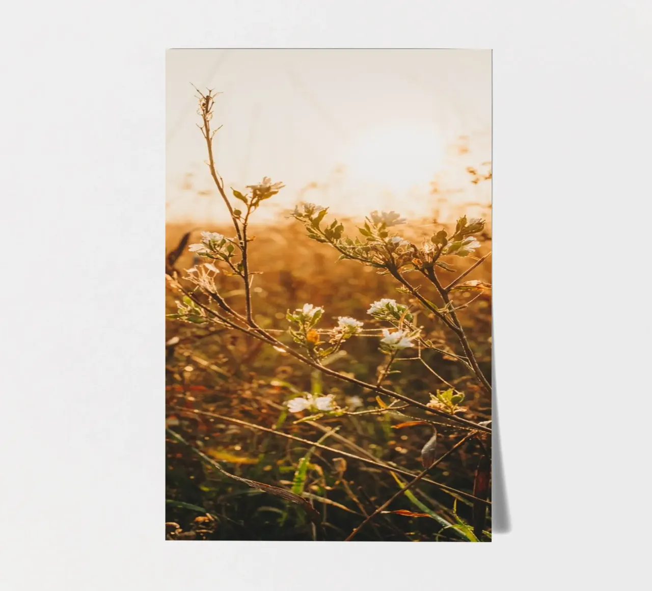 Morning mood - grasses & plants at sunrise sticker sheet by Bold and Retro