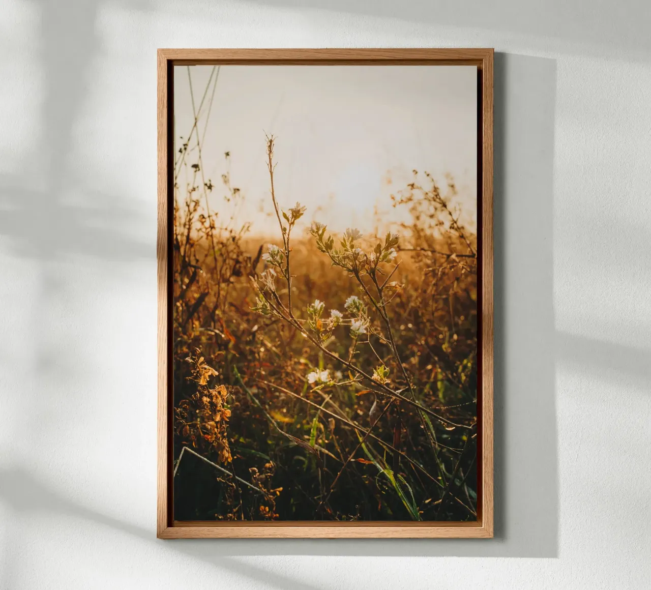 Morning mood - grasses & plants at sunrise canvas with Floater frame by Bold and Retro