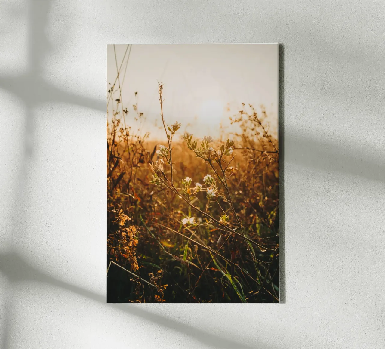 Morning mood - grasses & plants at sunrise canvas with Floater frame by Bold and Retro