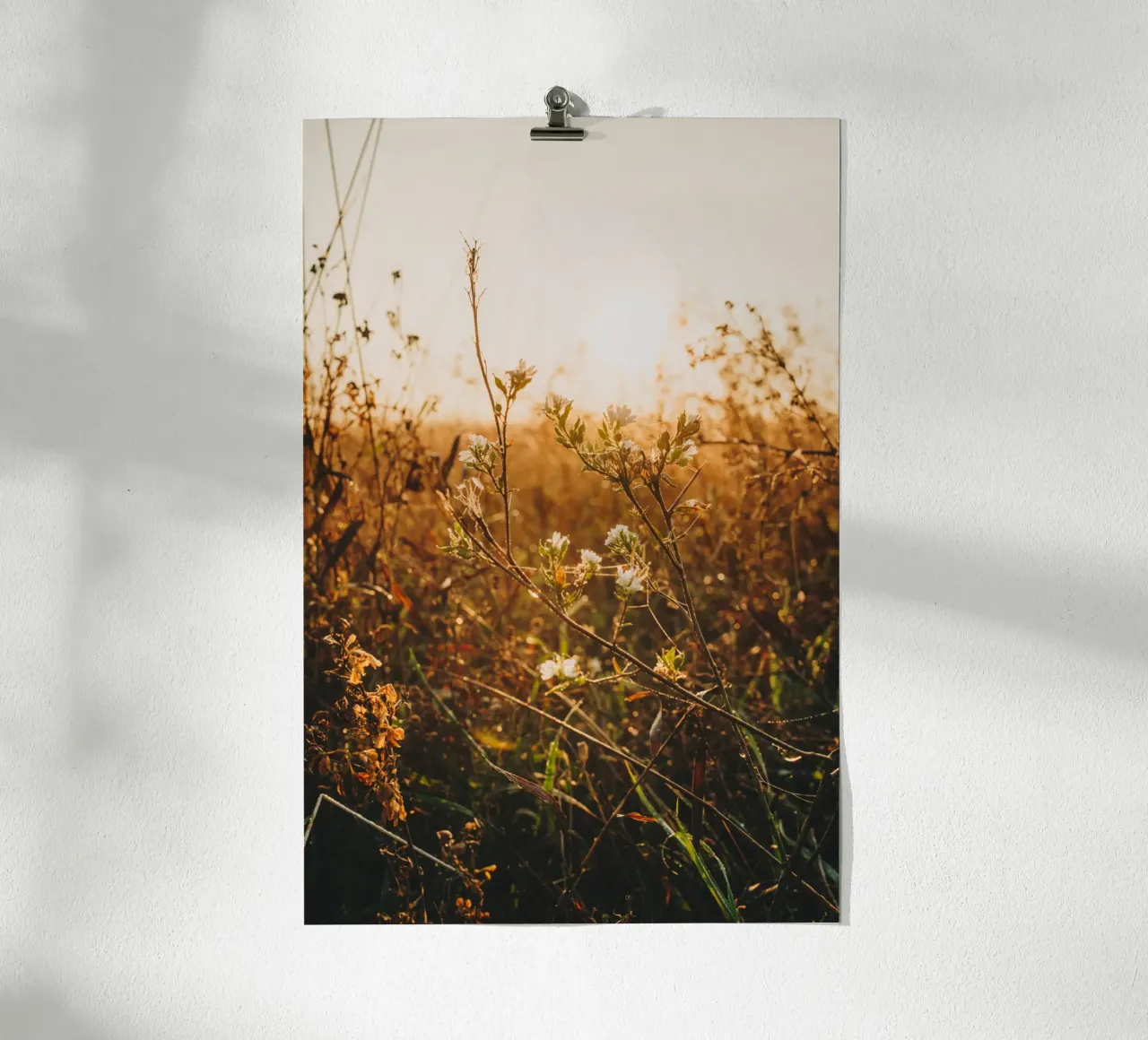 Atmosfera mattutina - erbe e piante al sorgere del sole carta hahnemühle da Bold and Retro
