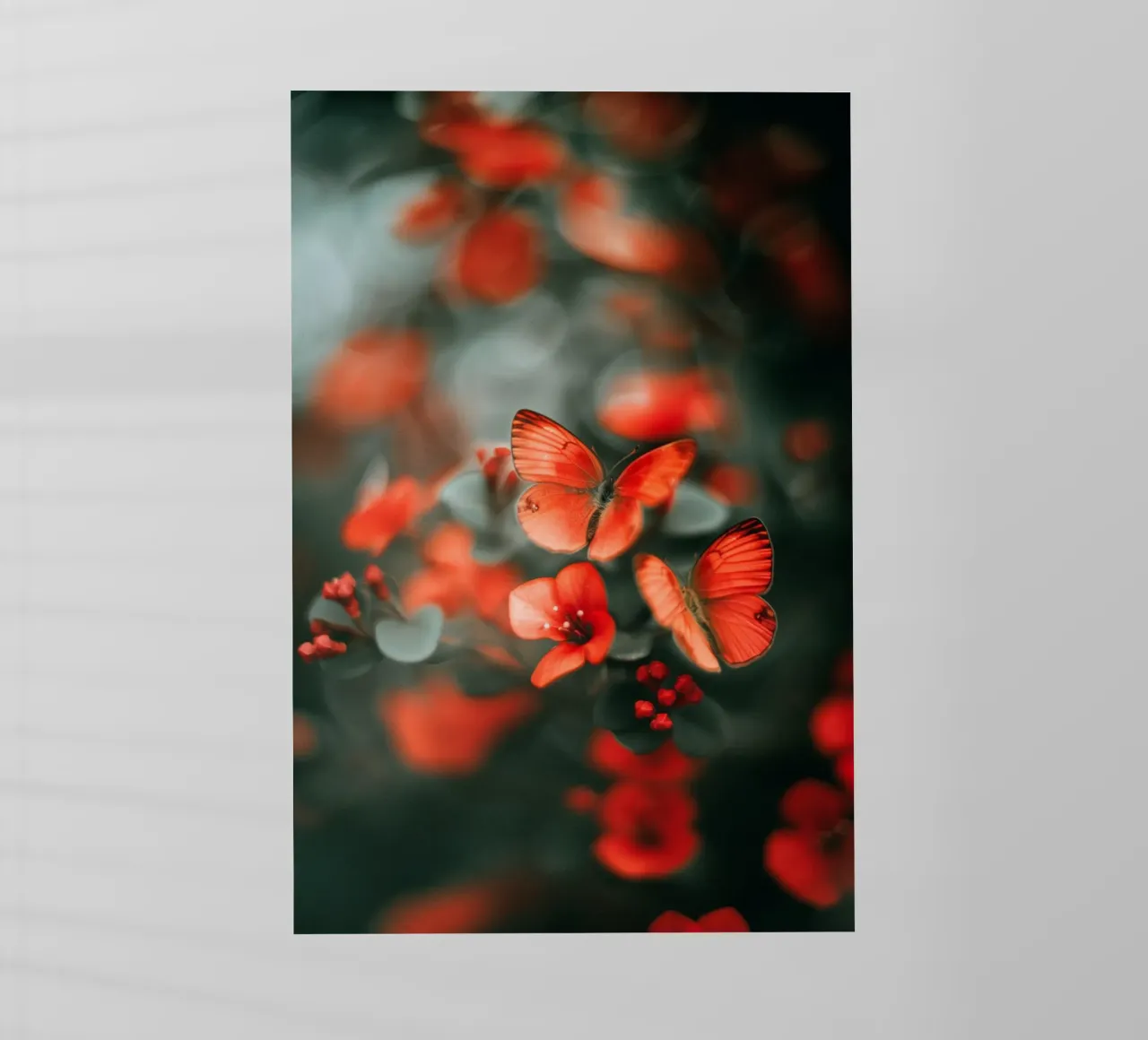 Red Butterflies pellicola backlit da treechild