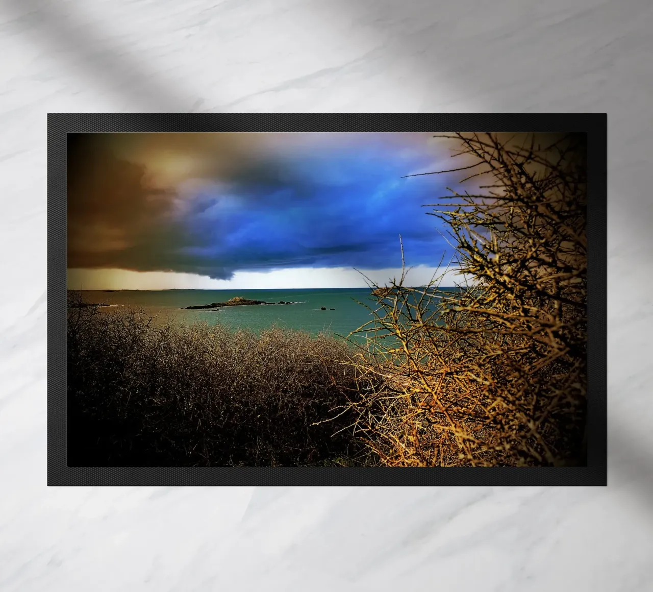 FAA107 zerbino da Thierry vobmann photography