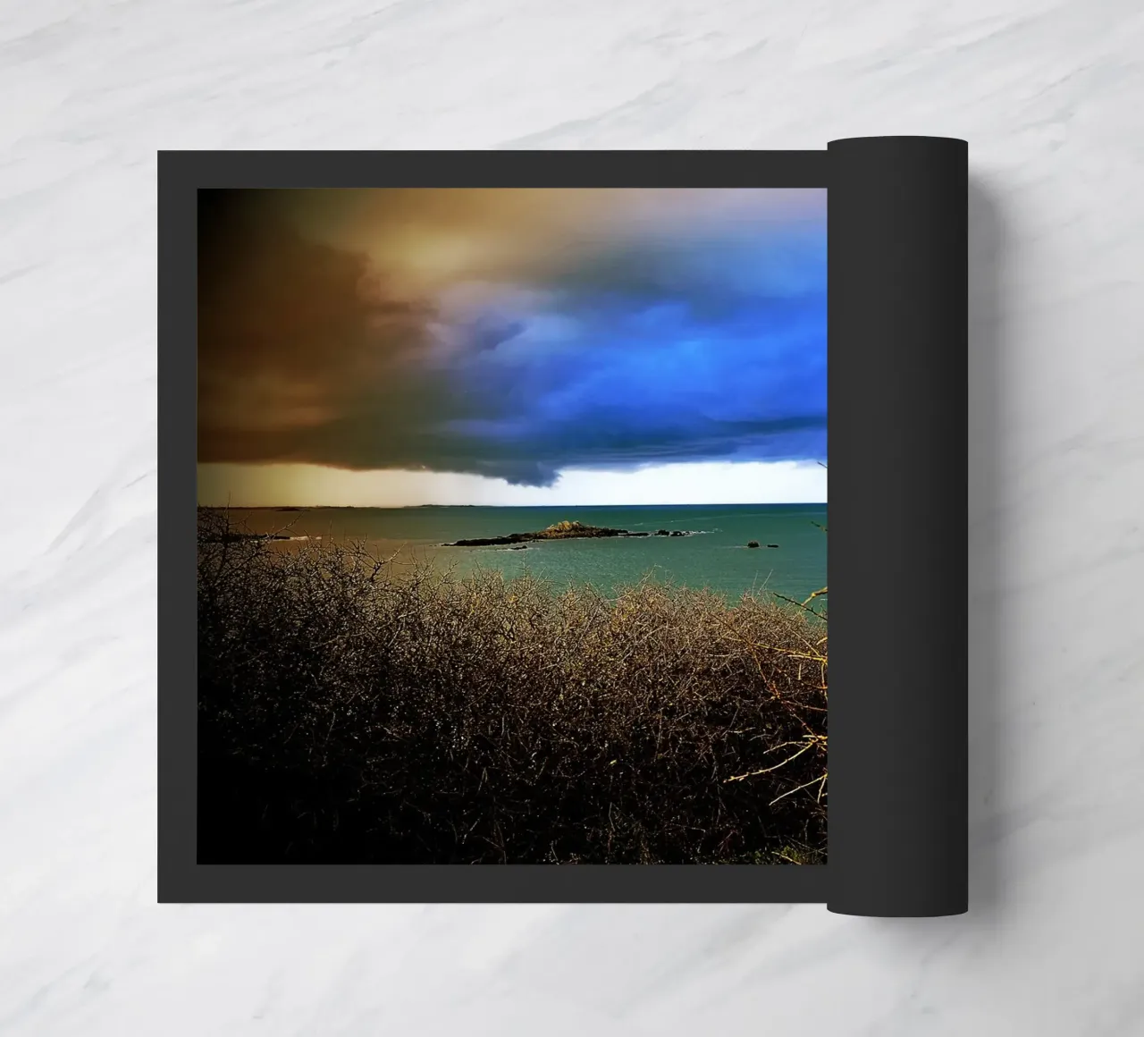 FAA107 zerbino da Thierry vobmann photography