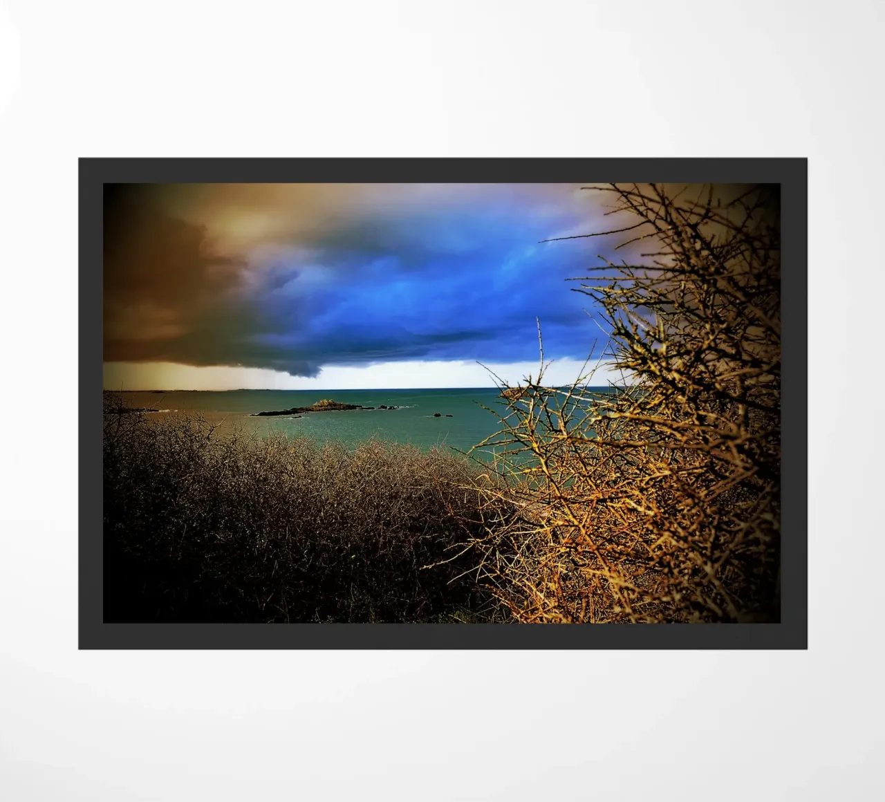 FAA107 zerbino da Thierry vobmann photography