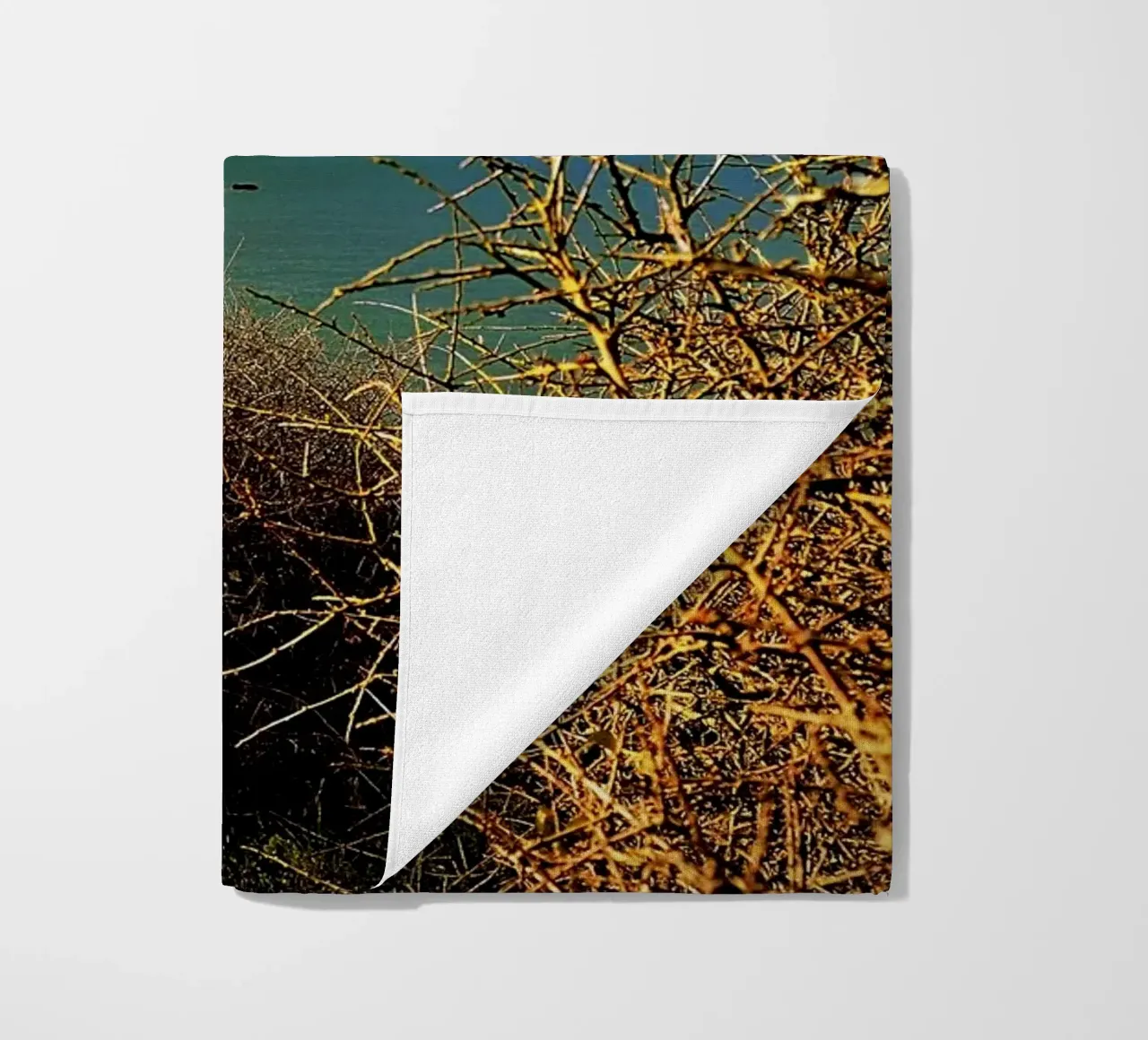 FAA107 telo mare da Thierry vobmann photography