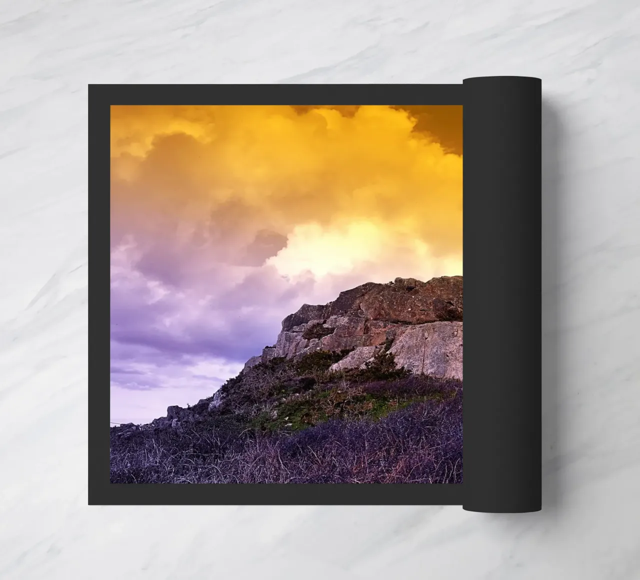 FAA108 zerbino da Thierry vobmann photography