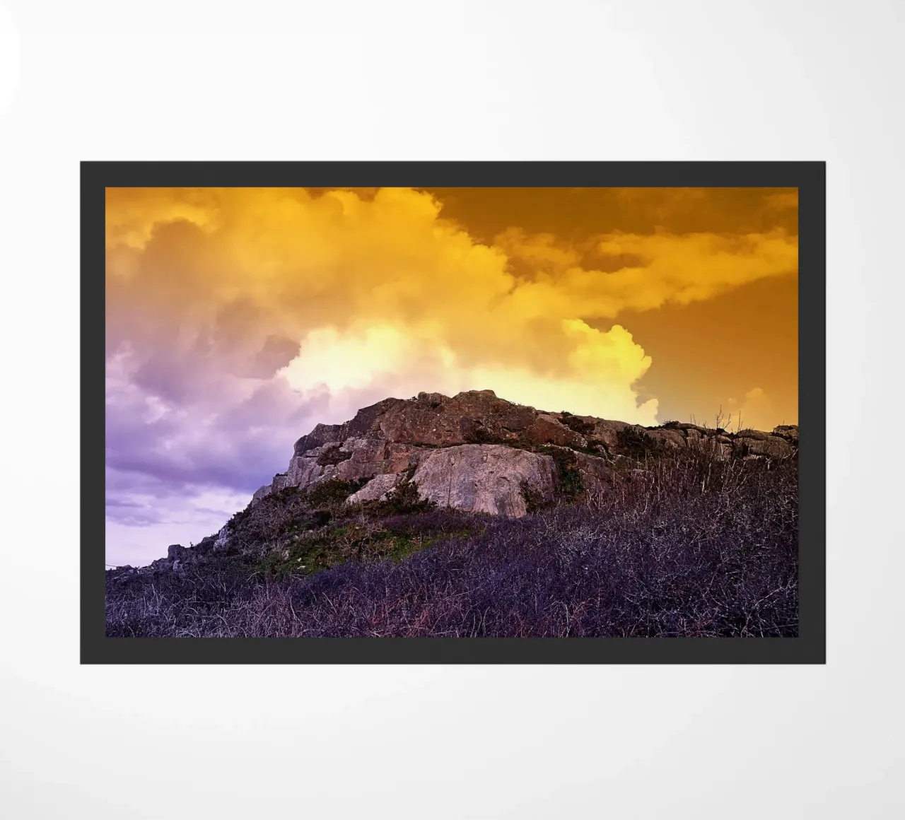 FAA108 zerbino da Thierry vobmann photography