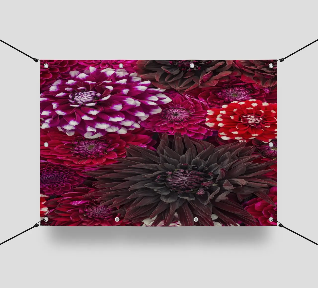 Shades of Passion and Elegance - Beautiful Red Dahlias pvc cover by Curious Collections by Marielle Leenders