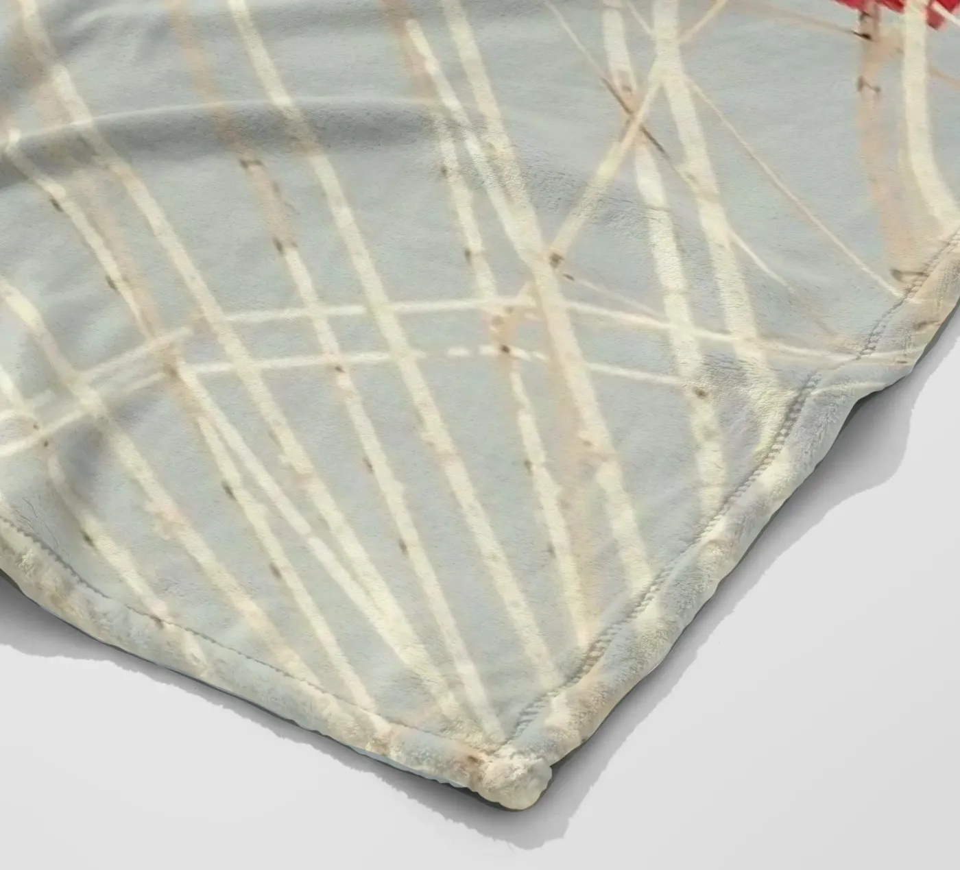 Ferriswheel fleecedeken van Catherine McDonald