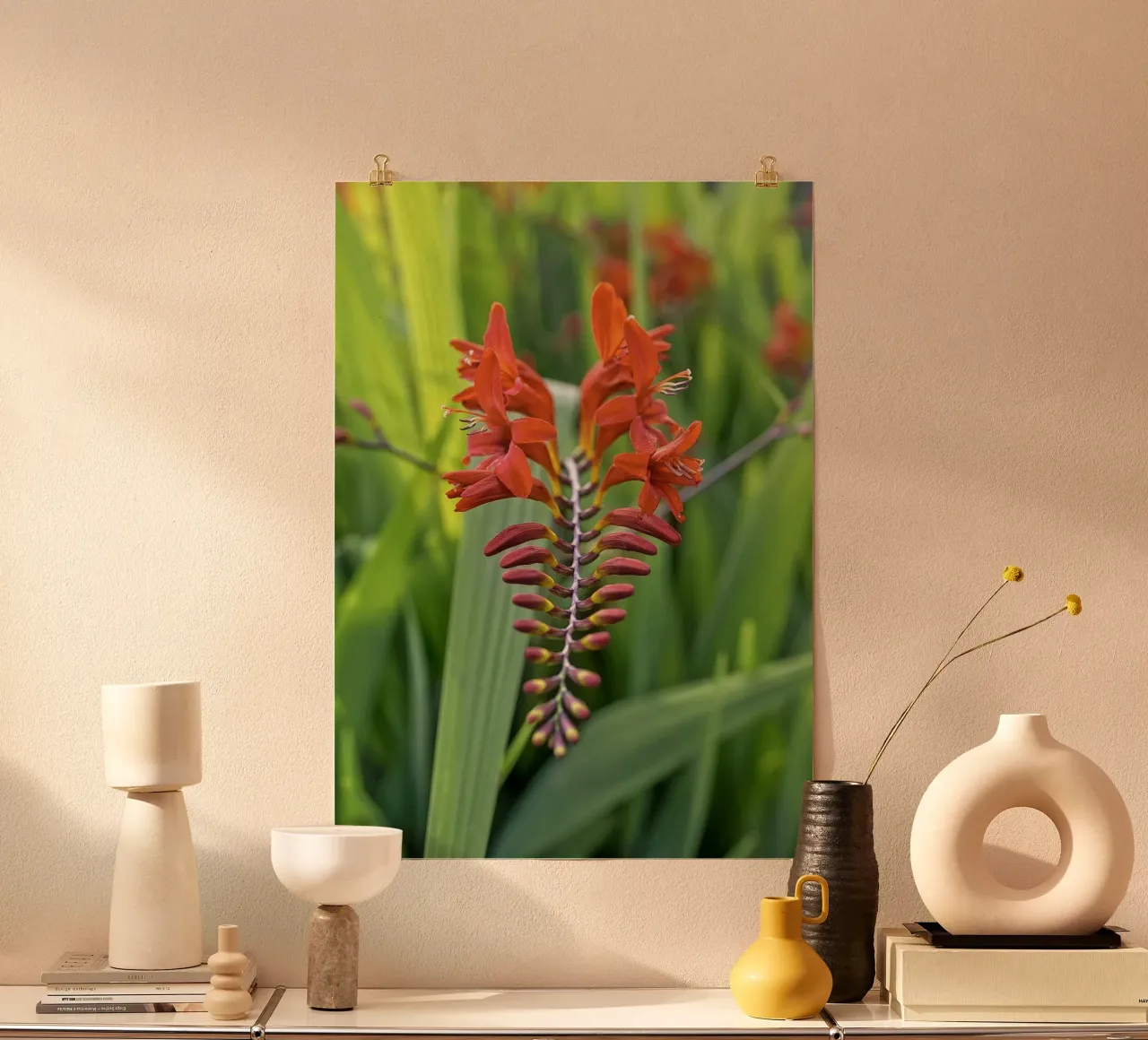 Un simbolo del paradiso - Fiore tropicale rosso poster con telaio in alluminio da Curious Collections by Marielle Leenders