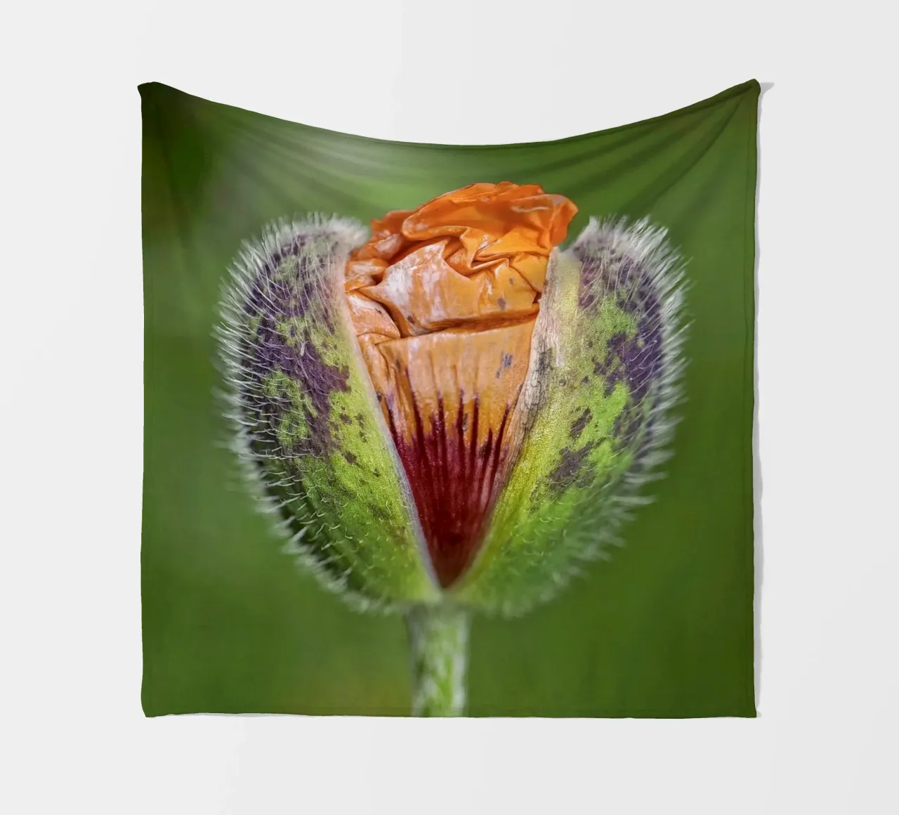 The Promise of Vibrant Bloom - Red Poppy Bud coperta in pile da Curious Collections by Marielle Leenders