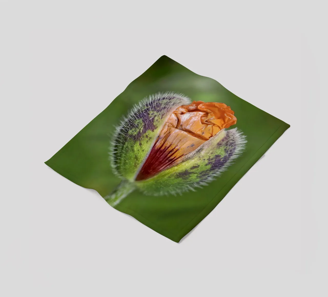 The Promise of Vibrant Bloom - Red Poppy Bud coperta in pile da Curious Collections by Marielle Leenders