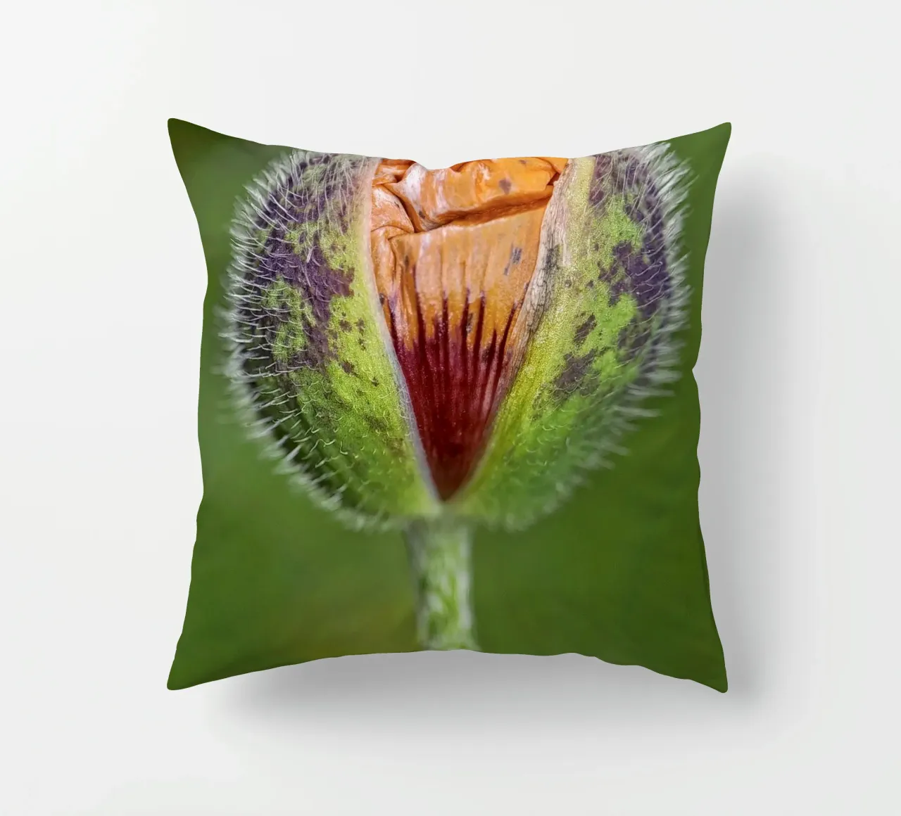 The Promise of Vibrant Bloom - Red Poppy Bud cuscino da Curious Collections by Marielle Leenders