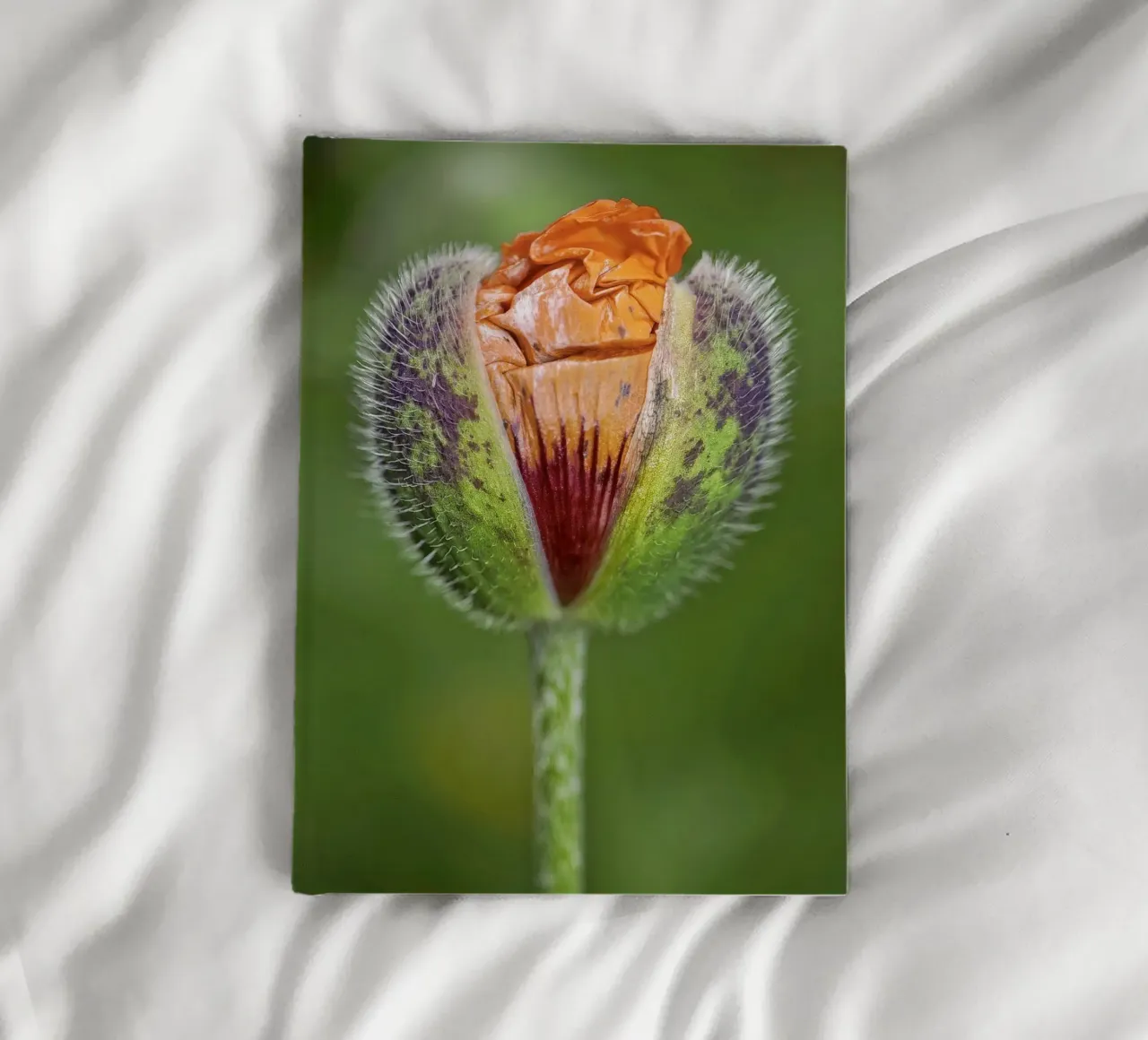 The Promise of Vibrant Bloom - Red Poppy Bud carnet de notes de Curious Collections by Marielle Leenders