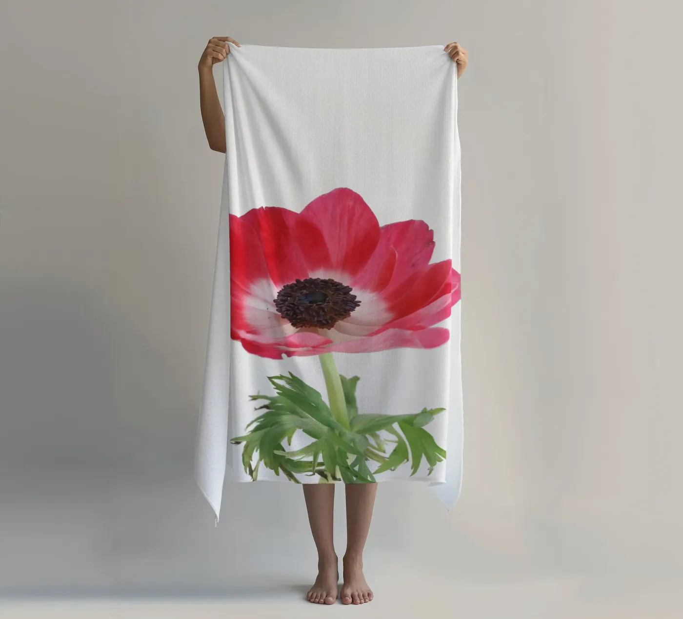 Anemone rosso telo mare da Cassia Beck Photography