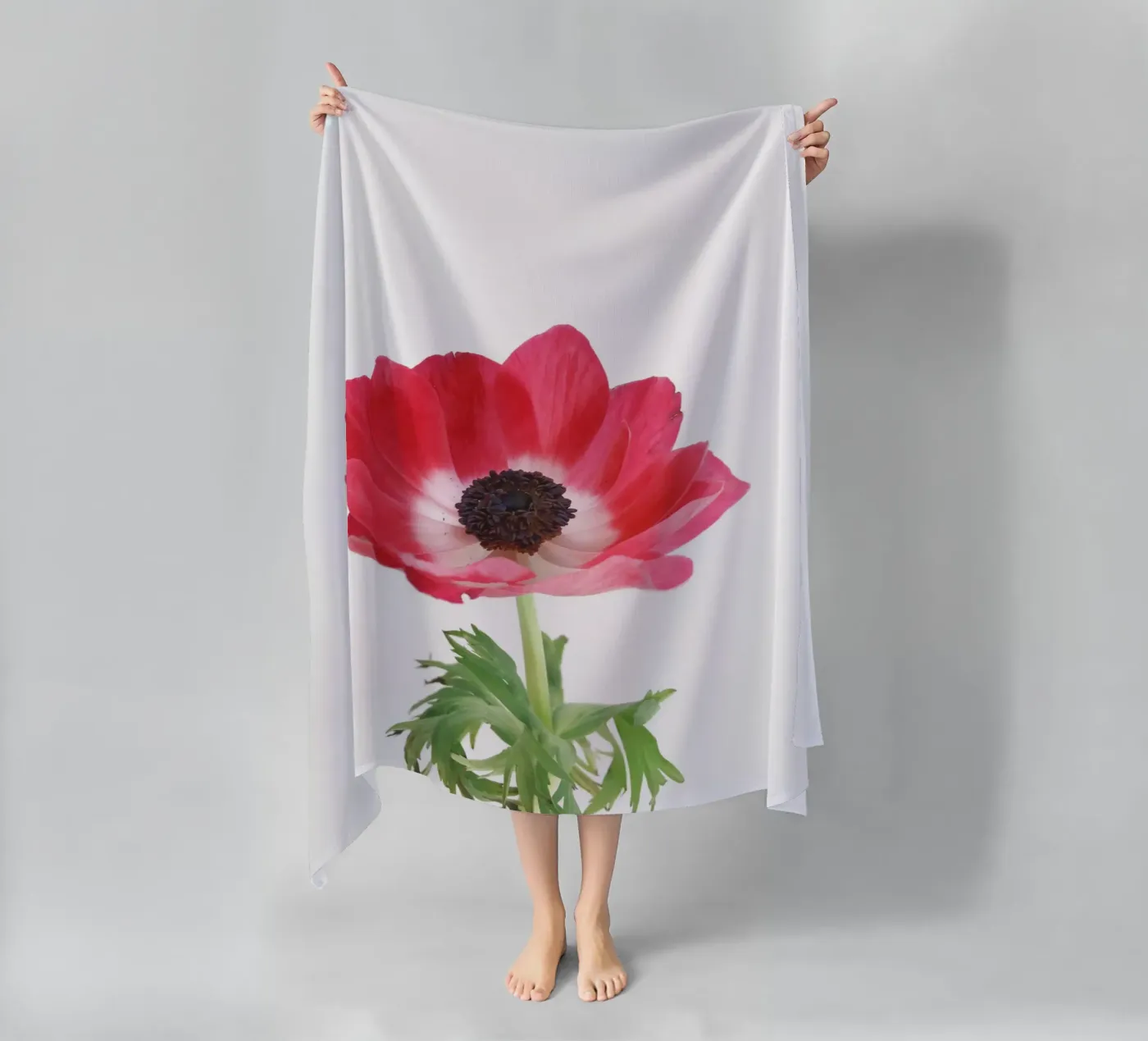 Anemone rosso telo mare da Cassia Beck Photography