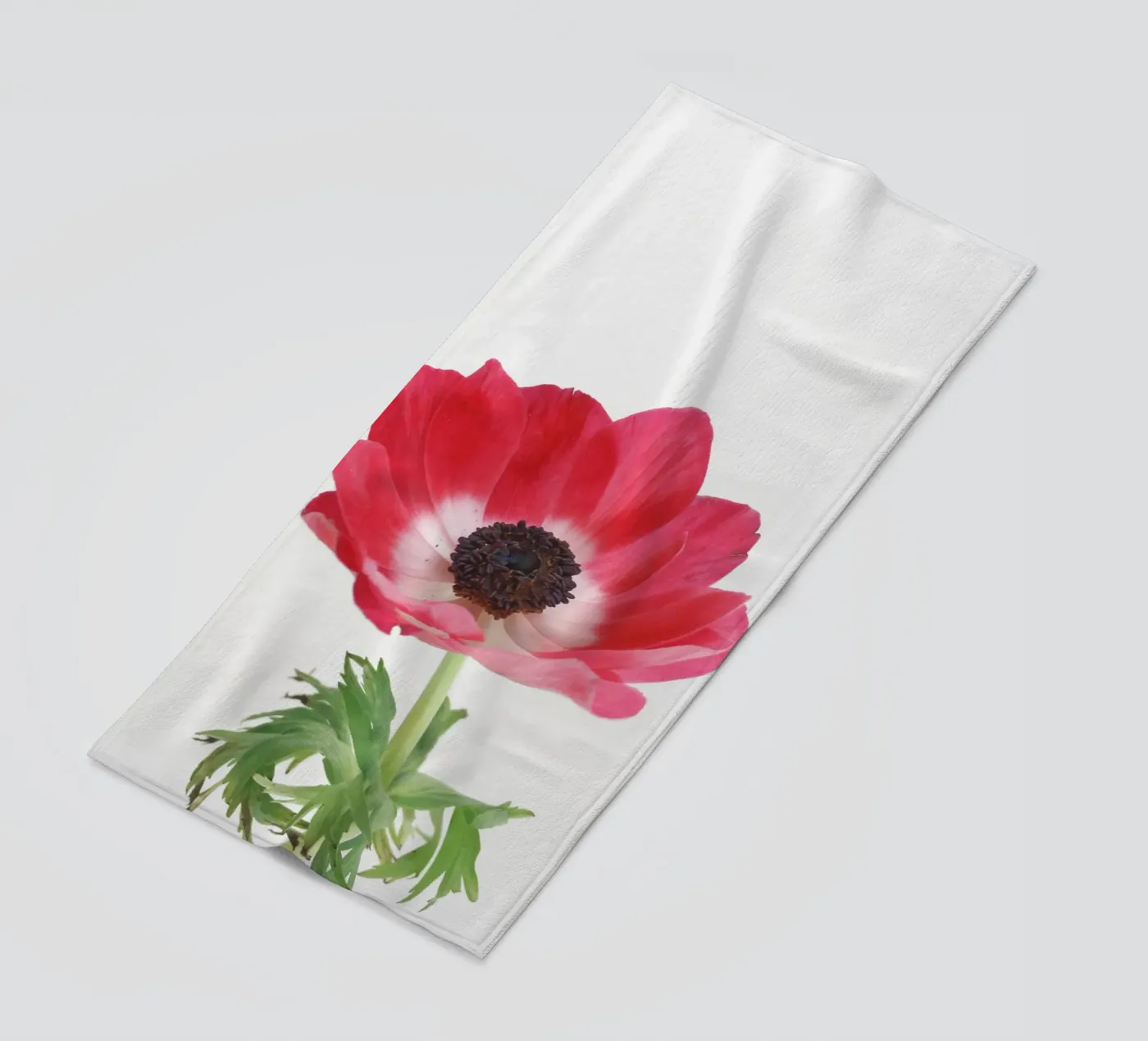 Anemone rosso telo mare da Cassia Beck Photography