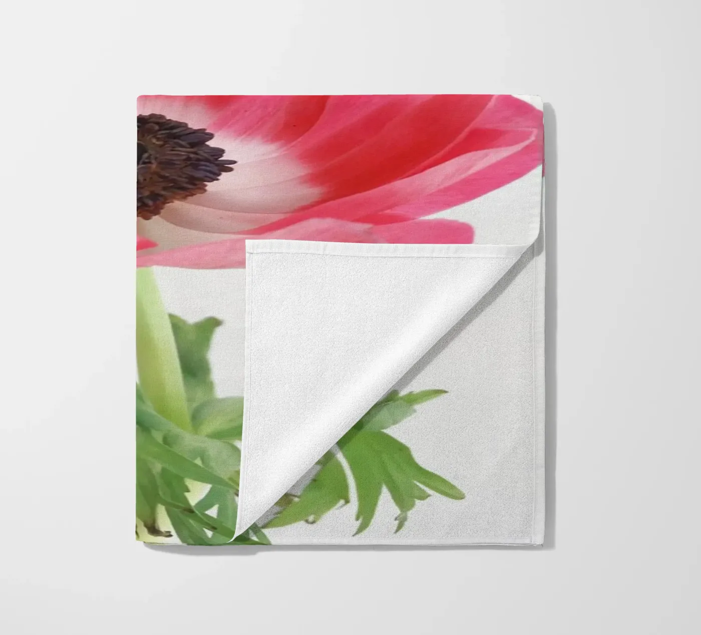 Anemone rosso telo mare da Cassia Beck Photography