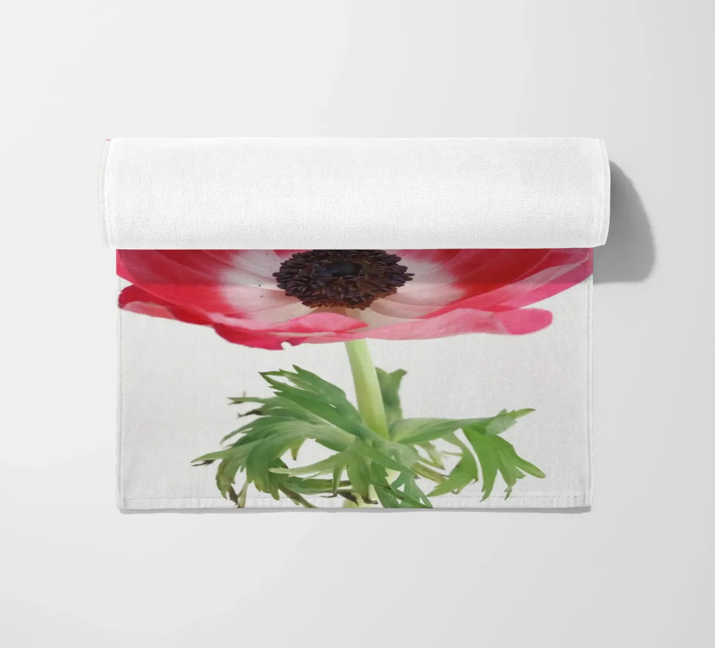 Anemone rosso telo mare da Cassia Beck Photography