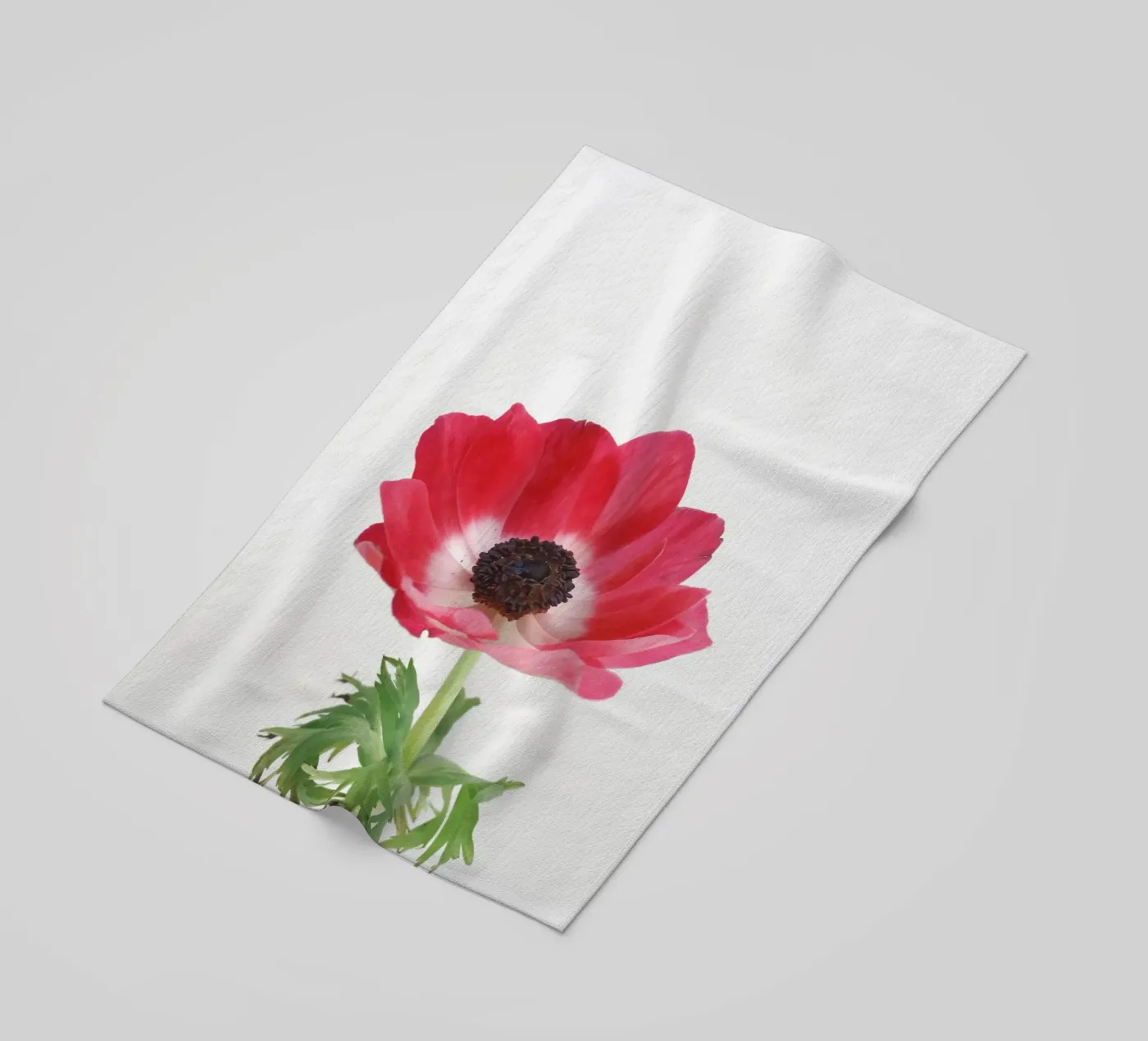 Anemone rosso telo mare da Cassia Beck Photography