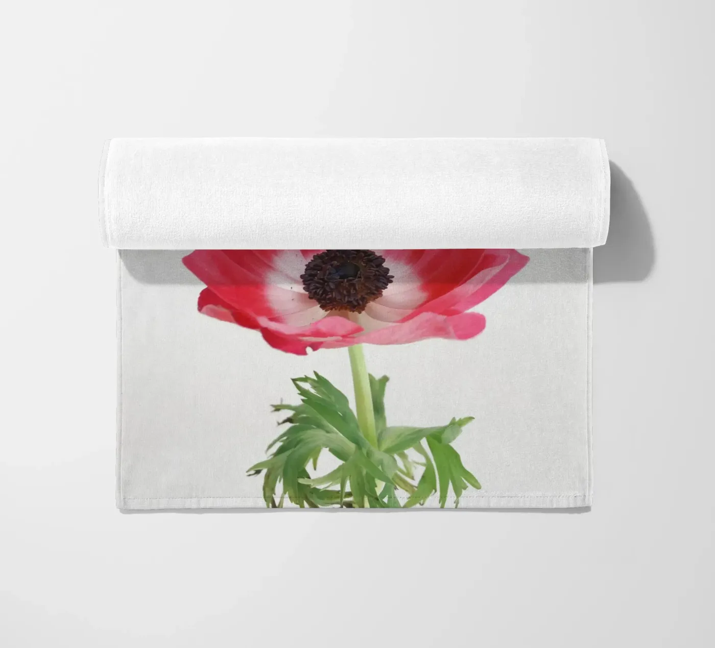 Anemone rosso telo mare da Cassia Beck Photography