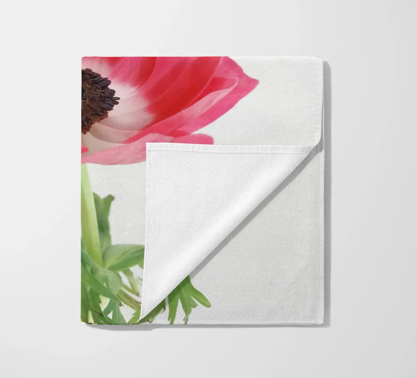 Anemone rosso telo mare da Cassia Beck Photography