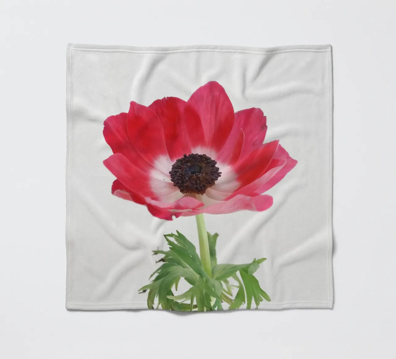 Anemone rosso coperta in pile da Cassia Beck Photography