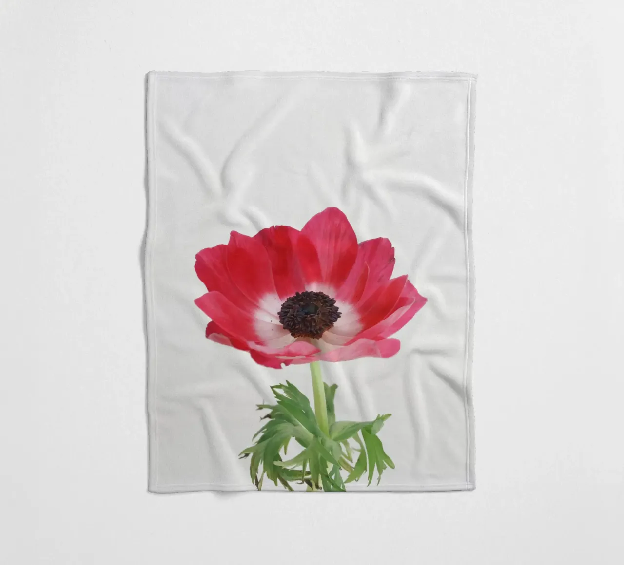 Anemone rosso coperta in pile da Cassia Beck Photography