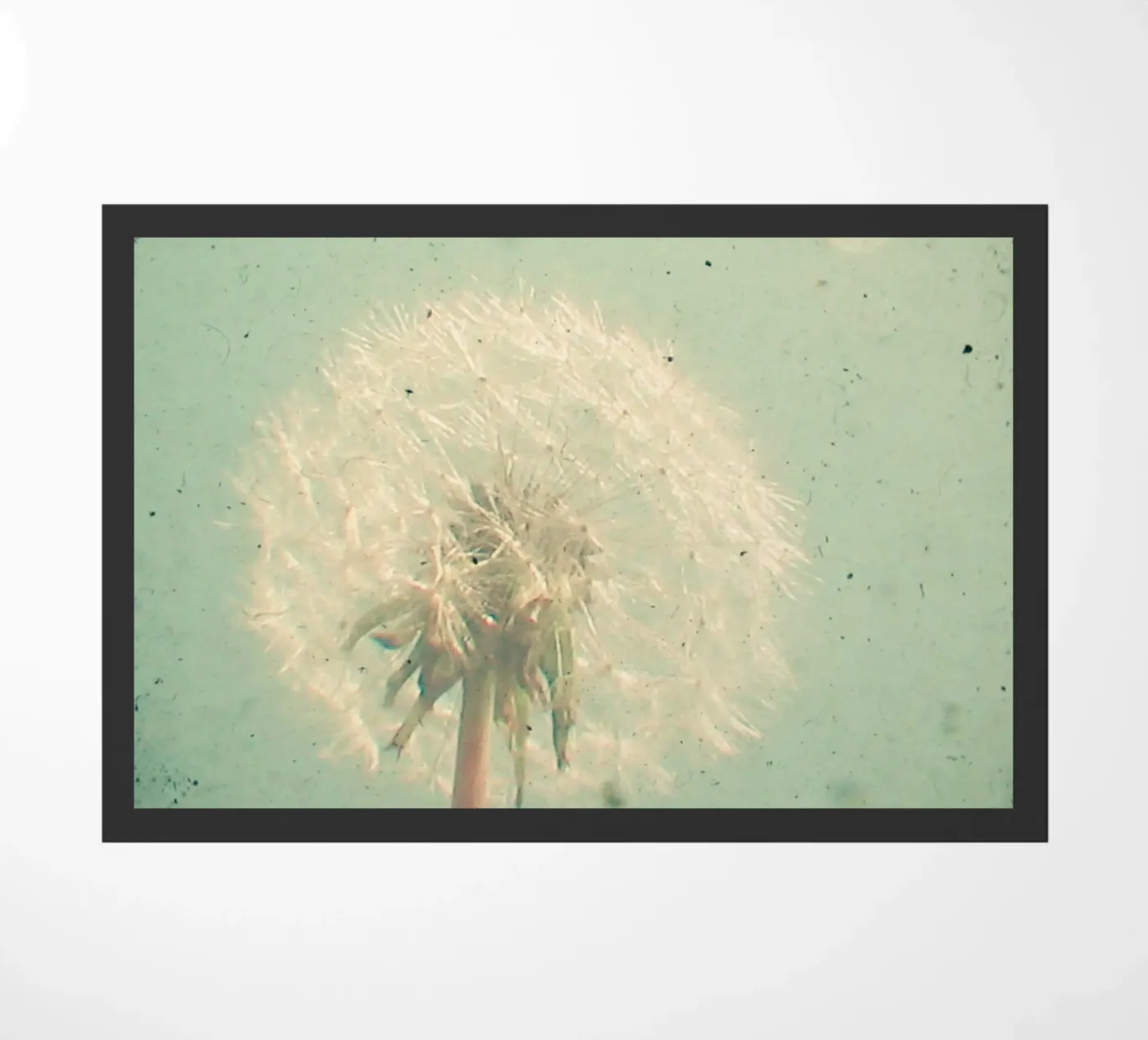 Dandelion Clock doormat by Cassia Beck Photography