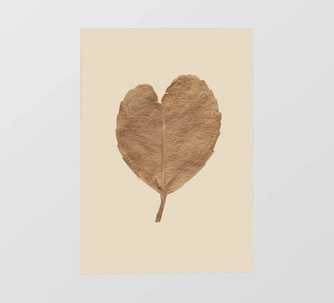 Amore duraturo - Foglie secche a forma di cuore pellicola backlit da Curious Collections by Marielle Leenders