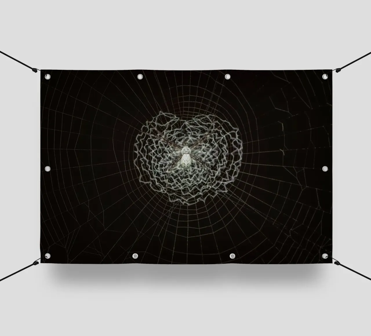 Ein Netz der Liebe - Die Spinne webt das Netz der Liebe PVC Plane von Curious Collections by Marielle Leenders