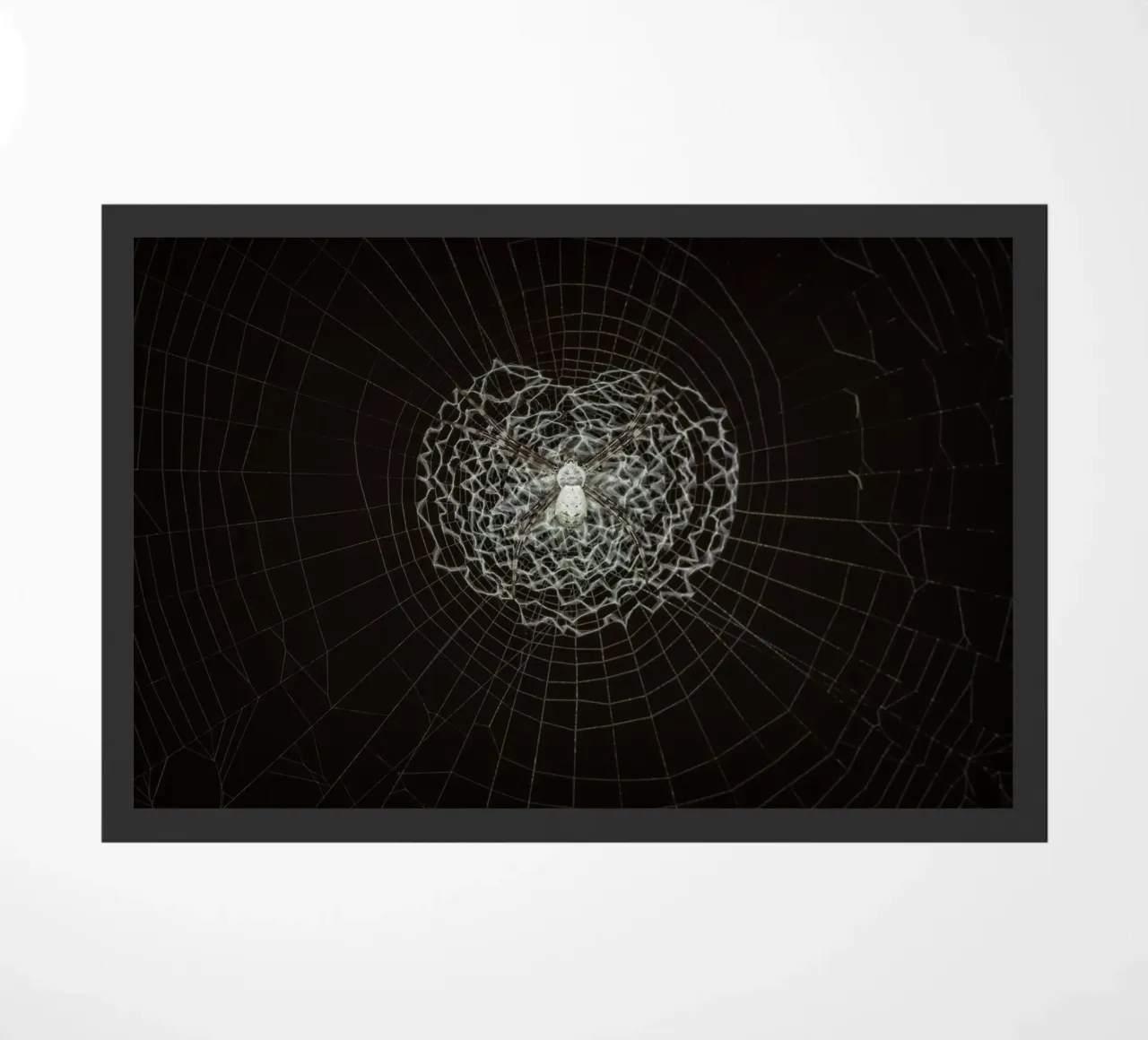 Ein Netz der Liebe - Die Spinne webt das Netz der Liebe Fußmatte von Curious Collections by Marielle Leenders