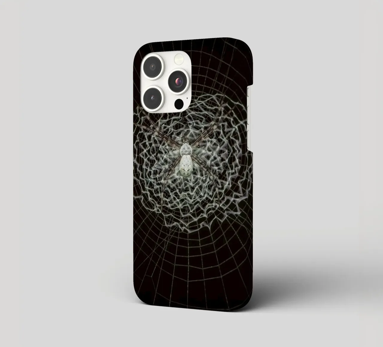 Ein Netz der Liebe - Die Spinne webt das Netz der Liebe iPhone Hülle von Curious Collections by Marielle Leenders