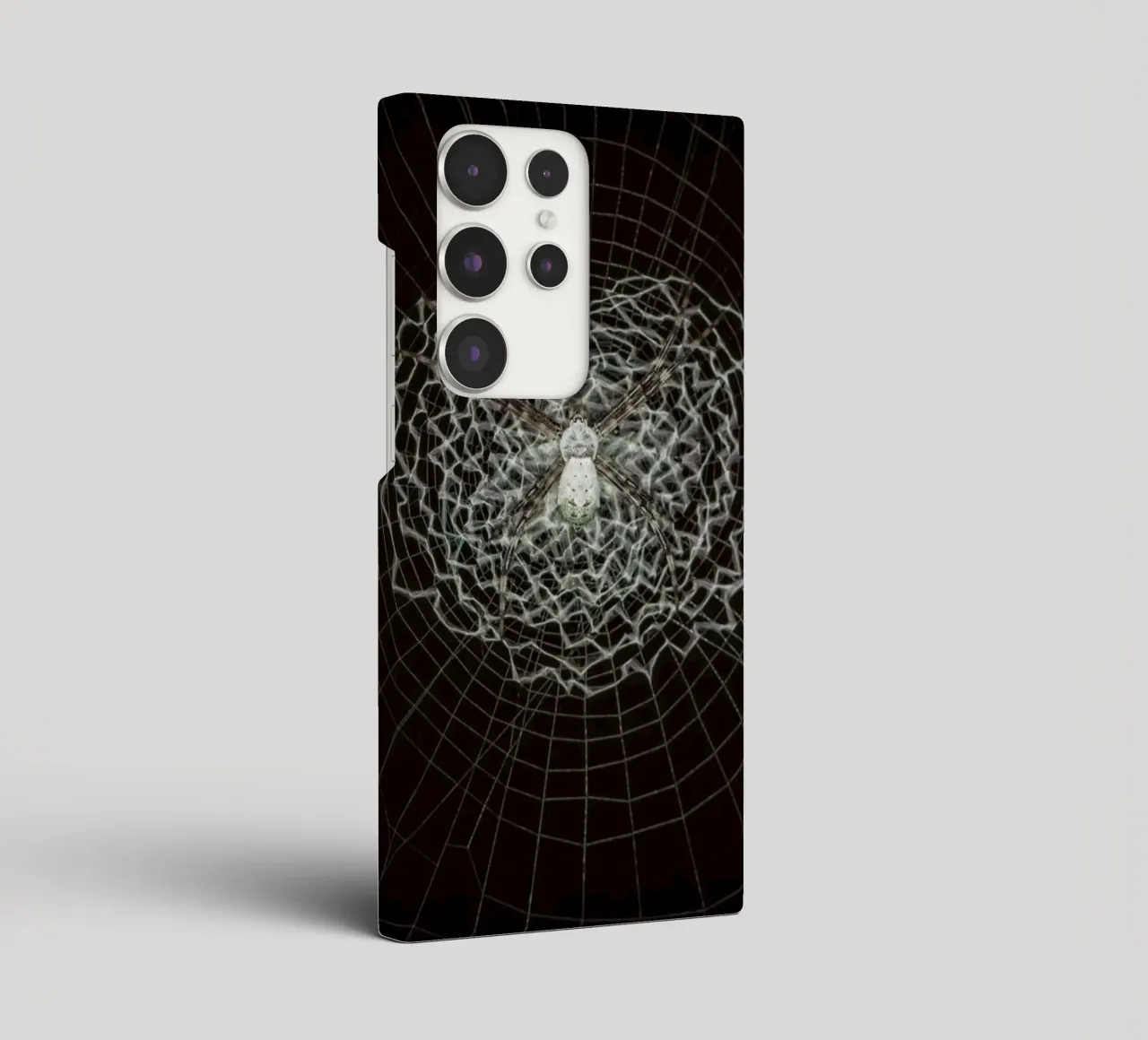 Ein Netz der Liebe - Die Spinne webt das Netz der Liebe Samsung Hülle von Curious Collections by Marielle Leenders