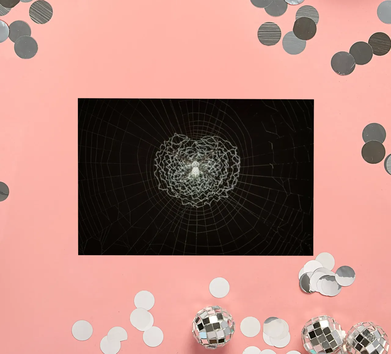 Ein Netz der Liebe - Die Spinne webt das Netz der Liebe Sticker von Curious Collections by Marielle Leenders